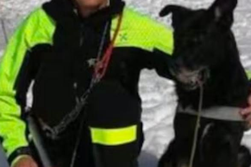 Addio ad Hakkin, il Pastore Tedesco dei Vigili del Fuoco che ha partecipato a 167 interventi sul campo