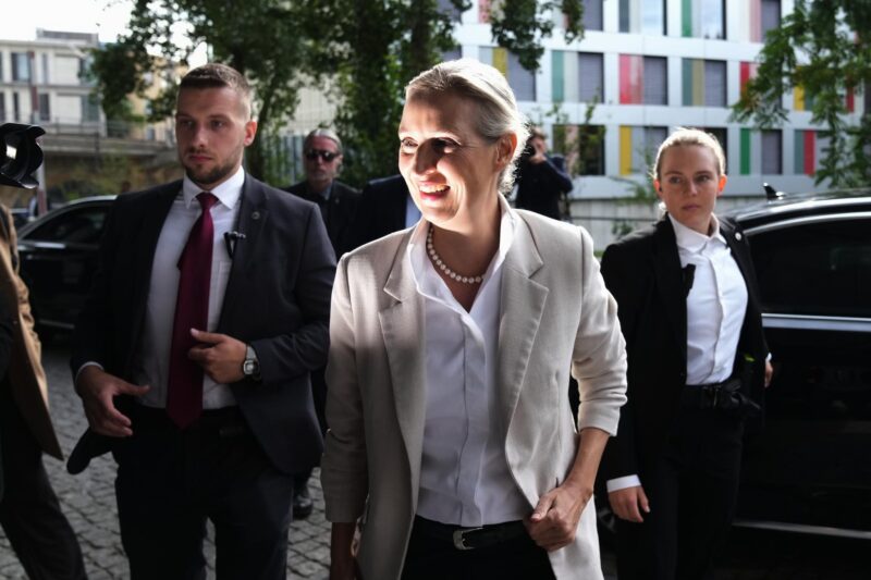 Carte prepagate ed espulsioni di massa: il piano di Afd contro gli stranieri se andrà al governo